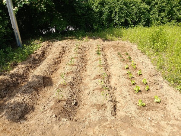 987913352_75ejJDlI_9944cdd7a3a2eca066a2ec338e2b7235cbc9eb64