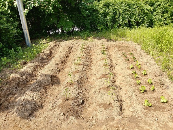 987913352_RlawV4xj_23aaa6d600585eecc5e60801e9c4c5d8d6f26a95