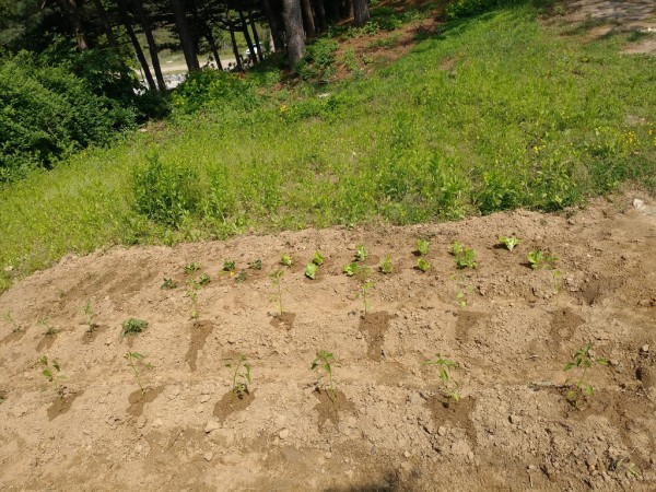 987913352_zpviL19S_d4eca0449a5be828cba981e7b9f9976b4b5a682d